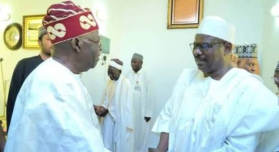 Once you identify a Terrorist, deal with him, if you don’t kill him, he will kill you, Ndume lectures Tinubu