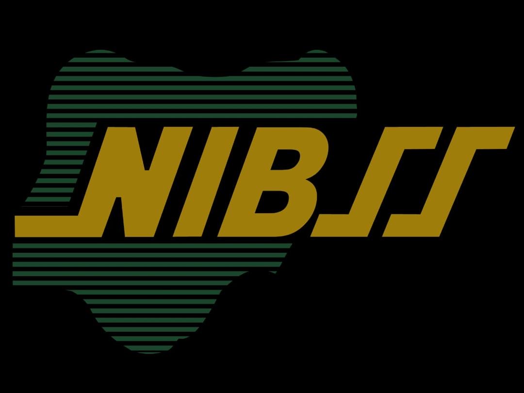 NPS treats over 26 million Transactions as First Bank, Fidelity Bank lead in Volume, Value
