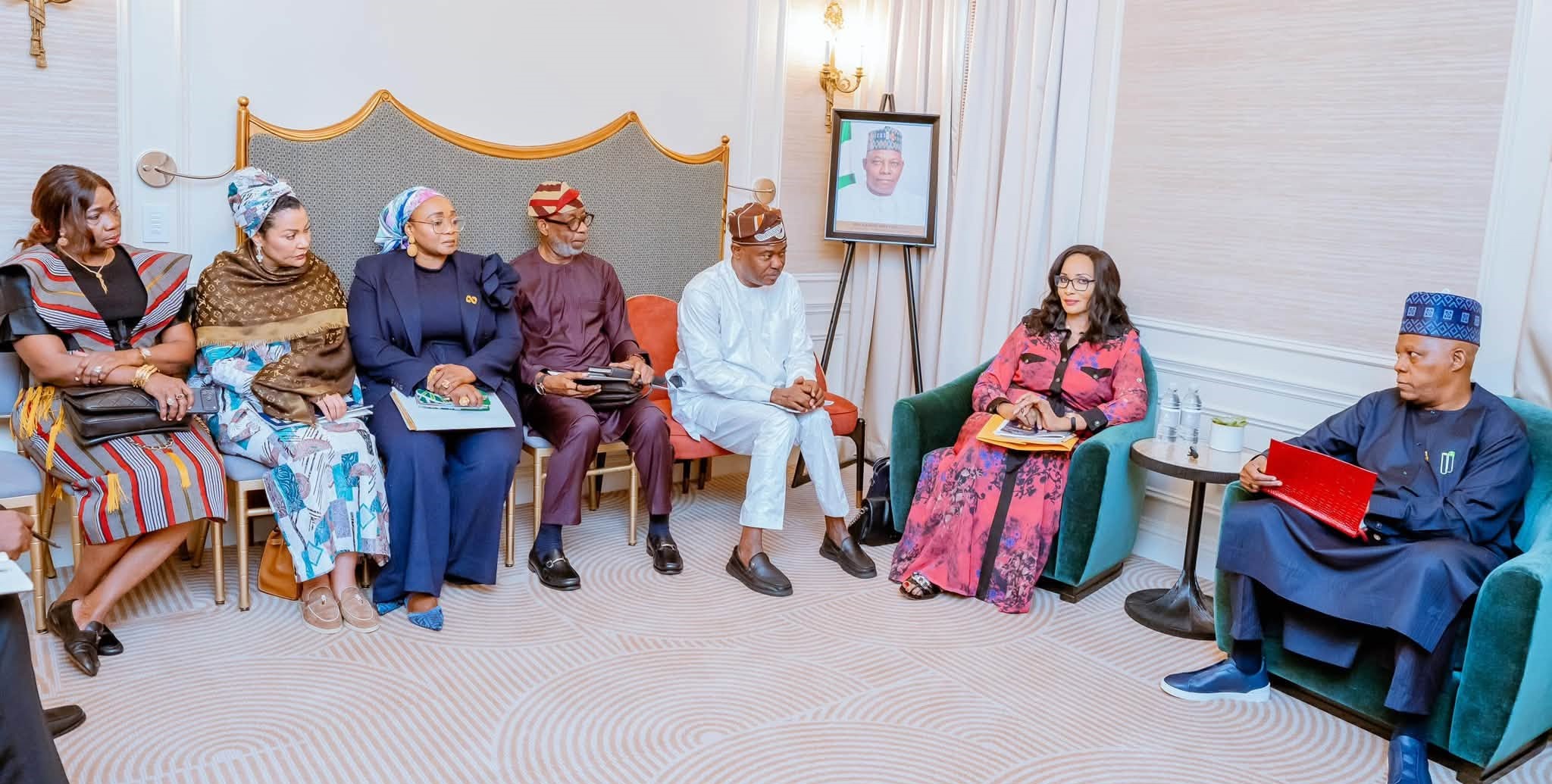 Turn Africa's Mineral Wealth into Industrial Growth, Jobs, Shettima tells African Countries
