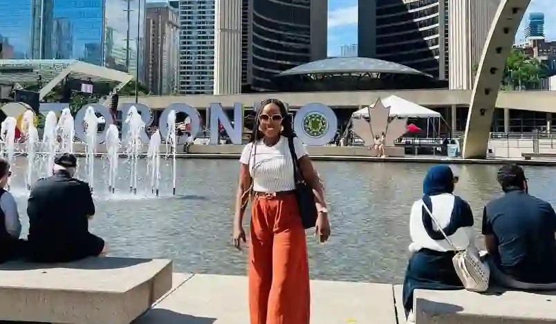 How Nigerians Abroad can grow Wealth at Home